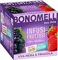 Bonomelli Infusi Fruttosi, Uva Nera e Fragola, Confezione da 12 Filtri, Gusto Intenso e Delicato, Infusione a Caldo e a Freddo, Ingredienti 100% Naturali