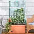 Self Watering Vegetable Planter Box with Trellis on Wheels - Mobile Garden