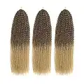 Melisay 3 paquetes de cabello trenzado brasileño de 20 pulgadas rizado rizado rizado brasileño trenzado de onda profunda de ganchillo extensiones de pelo largo para mujeres negras T4/24