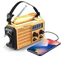 Weather Radio Raynic 5000 Solar Hand Crank Emergency Radio 5 Ways Powered AM/FM/SW/NOAA Weather Alert Portable Radio with Flashlight, Reading Lamp (Yellow)