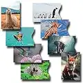 8 RFID Blocking Sleeves, Credit Card Protector, Anti-Theft Credit Card Holder, for Men and Women, Elephant, Zebra, Fox, Giraffe, Hummingbird, Penguin, Alpaca and Piggy Prints