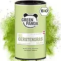 GREEN PANDA® Bio Gerstengras Pulver aus Österreich | Gerstengrassaft Pulver für grüne Smoothies, Super Green Pulver Shakes, Chlorophyll zum Trinken | in nachhaltiger Dose aus Karton |125g