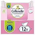 Cottonelle Feuchtes Toilettenpapier, Sensitive Pflegend - Parfümfrei, Biologisch Abbaubar, Plastikfrei, Wiederverschließbar, Vorteilspack, 12 x 42 Feuchttücher