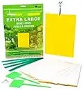 EcoCanucks XL Sticky Traps (20 Pack) | Extra Large Fruit Fly Paper & Gnat Glue Trap for Indoor, Outdoor, Garden, Plant | Fungus Gnats, Fruit Flies, Mosquitoes, Flying Insects, Yellow Sticky Bug Traps