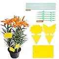 YHmall 30pcs Pièges à Insectes Pièges Engluées Autocollants Colle Double-Face Étanche Jaunes Attrape Mouches Pucerons Blanches pour Jardin Plante Fleur Fruits (3 Formes)