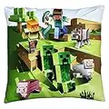 Halantex Mine Craft MNC142 Coussin décoratif 40 x 40 cm