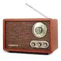 LoopTone USB SD Multifunction AM FM Vintage Radio with Bluetooth Speaker,Retro Wood Table Radio for Kitchen Living Room with Rotary Knob