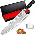 MOSFiATA 10" Chef Knife, Japanese Kitchen Knife, Pro Sharp Meat Vegetable Chopping Knife, Premier High Carbon German EN1. 4116 Stainless Steel, Full Tang Blade Cooking Knife with Finger Guard Gift Box