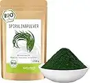 Spirulina Pulver BIO 500 g I 100% natürlich und rein - aus kontrolliert biologischem Anbau I laborgeprüft - ohne Zusatzstoffe I von bioKontor