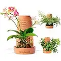 Vertplanter Terracotta Plant Pots Handmade Flower Pots 5.7 Inch Self Watering No Soil Planter for Indoor Outdoor Hydroponic Planter, Flower Pots with Tray to Reuse and Store Water, Great for Orchids