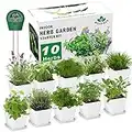 Kit de jardín de hierbas para interiores – 10 hierbas variadas con kit completo de cultivo de hierbas – ventana de cocina jardín de hierbas – Regalos únicos de jardinería para mujeres y hombres