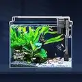 LAQUAL Ultra Clear Small Fish Tank with Filter & Light (3 Gal), Rimless Glass Low Iron Aquarium Starter Kit, Beta Fish Tank & Filter with Surface Skimmer & 3-Mode LED Light