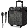 Donner PA Speaker System, Portable Bluetooth Speaker with 2 Microphones, Karaoke Machine with 6 Sound Effects, Bass Boost, Guitar Input, Supports AUX/FM/AM/USB Charging