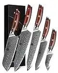 XINZUO 5 Pezzi Set di Coltelli da Cucina, Alta qualità Professionale VG10 Acciaio Damasco Affilata Coltello da Chef Santoku Multiuso Frutta Coltello da Pane con Manico Rosewood Ergonomico-Yi Serie