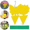 Fruit Fly Trap Indoor,40Pcs Sticky Fly Traps Outdoor, Dual-Sided Yellow Fungus Gnat Mosquito Traps for Plants