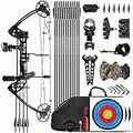 Lanneret Compound Bow and Archery Sets - Right Hand Archery Compound Bows 0 - 70 lbs Draw Weight Adjustable for Adults and Beginners，Hunting Bow Kit for Beginner Black