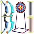 2 Pack Bow and Arrow Set for Kids, Light Up Archery Set with 14 Suction Cup Arrows, Archery Targets Outdoor Games for Kids Ages 4-8 8-12, Birthday Gifts Toys for 5 6 7 8 9 10 11 12 Year Old Boys Girls