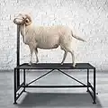 BEAUCOM Livestock Stand,Trimming Stand,Metal Goat Milking Stand,Goat Stand,Sheep Stand,Goat Stand for Trimming Hooves 47x23 inches Black