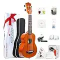 AKLOT Soprano Ukulele Solid Mahogany Ukelele 21 inch Beginners Ukuleles Starter Kit with Free Online Courses and Ukulele Accessories (AKS21)