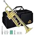 EASTROCK Bb Trumpet Standard, Trumpet Set for Beginner, Brass Trumpet Instrument with Hard Case Gloves 7C Mouthpiece Cleaning Kit for Student (Gold)