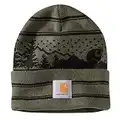 Carhartt Unisex Hat Beanie mit Bündchen und Outdoor-Grafik - Mütze, One Size, Basil