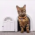 Interior Cat Door - No-Flap Cat Door for Interior Door, Cat Door Interior Door for Cats Up to 20 lbs, Easy DIY Setup, Secured Installation in Minutes, No Training Needed…