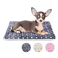 MORA PETS Dog Bed for Small Dogs Cats Washable Dog Crate Mattress Mat for 22 inch Cage UK Soft Flat Pet Cushion Bedding Blanket Pillow Pad for Kitten Cats Puppy Dogs Reversible 53x31 cm