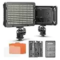 Neewer Panel de luz 176 LED Regulable con 2 Unidades de batería de Litio de 2600 mAh Cargador Dual a USB para Canon Nikon DSLR etc. para grabaciones de vídeo en Estudio fotográfico