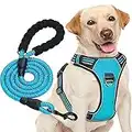 haapaw No Pull Dog Harness Adjustable Reflective Oxford Easy Control Medium Large with a Free Heavy Duty Dog Lead