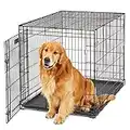 Large Dog Crate | Midwest Life Stages Folding Metal Dog Crate | Divider Panel, Floor Protecting Feet, Leak-Proof Dog Tray | 42L x 28W x 31H Inches, Large Dog