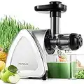 HOMEVER Juicer Machine, Slow Masticating Cold Press Juicers, Celery Juicer for Home, Easy to Clean and Quiet Motor, Apple Juicers with Cleaning Brush, BPA Free Juicer Squeezer for Vegetables and Fruits, Reducing Oxidation, Silver