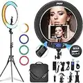 IVISII 19 inch Ring Light with Remote Controller and Stand ipad Holder,60W Bi-Color with 4 Color Soft Filters for Live Stream/Makeup/YouTube Video/TikTok/Zoom/Photography