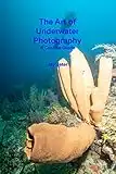 The Art of Underwater Photography: A Course Guide (English Edition)