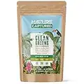 New: Organic Clean Greens Roots n' Berries - 180g - Spirulina, Chlorella, Barley Grass, Spinach, Kale, Beetroot, Acerola, Blueberry, Turmeric - Super Greens - Additive Free - UK Made (180g Powder)