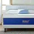 Molblly Queen Size Mattresses, 8 Inch Premium Cooling-Gel Memory Foam Mattress Bed in a Box, Cool Queen Bed Supportive & Pressure Relief with Breathable Soft Fabric Cover,Fiberglass Free，Blue