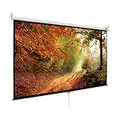 MPLUS Projector Screen 100 inch 16:9 4K HD Manual Pull Down with Auto Lock Mechanism Wall Mounted Ceiling Projection Screen for Home Theater Cinema Indoor Outdoor HD Movie Screen