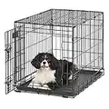 MidWest Homes for Pets Medium Dog Crate | MidWest Life Stages 30' Folding Metal Dog Crate | Divider Panel, Floor Protecting Feet, Plastic Tray | 30L x 19W x 21H Inches, Medium Dog Breed