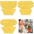 Buauty 30Pcs fly trap, Yellow Fly Paper Stickers catcher fruit fly traps indoor Non-Toxic and Eco-Friendly fungus gnat killer for Multiple Insect