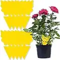 ExceLife 10 Pack Sticky Fruit Fly Traps for Flying Plant Insect, Double Sided Yellow Sticky Fungus Gnat Trap Killer Insect Catcher for Plants Indoor and Outdoor Kitchen Use (Butterfly)