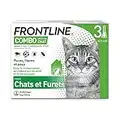 FRONTLINE Combo Chat - Anti Puces, Tiques & Poux - Contre Larves & Oeufs - Elimine & Tue - Protège L'Animal & L'Habitat - Jusqu'à 4 Semaines - Fabriqué En France - 3 Pipettes Application Spot On