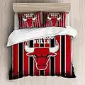 Meet Parure De Lit avec Housse De Couette en Microfibre Haut De Gamme avec Deux Taies d'oreiller Équipe De Basketball (Chicago Bulls,220x240cm(1.8M/2MBed))