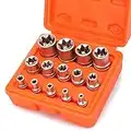 CASOMAN 14 Pieces Female E-TORX Star Socket Set, Female External Star Socket Set, E4 - E24 Torque Socket Set, 1/4"Dr. 3/8"Dr. 1/2"Dr.