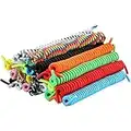 12 Pairs No Tie Curly Shoelaces Elastic Shoe Lace for Kids and Adults, 12 Colors