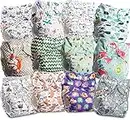 Littles & Bloomz Lot de 12 Bébé Couches Réutilisables en Tissu Couche Lavable à Poche avec Bouton Pression, FLP2-1203