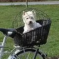 PaylesswithSS Rear Mounted Bicycle Wicker Basket for Pets