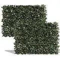DOEWORKS Expandable Fence Privacy Screen for Balcony Patio Outdoor(Double Sides Leaves), Faux Ivy Fencing Panel for Backdrop Garden Backyard Home Decorations - 2PACK