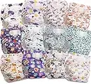 Littles & Bloomz Lot de 12 Couches Réutilisables Lavable pour Bébé avec Fermeture Crochet et Boucle, FLV2-1202