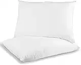 Eliza Pillows 2 Pack, Bounce To Back Hotel Quality Extra Soft Hollowfiber Filling Bed Pillows For Side, Stomach And Back Sleeper, Body Pillows (Plain Pillows)