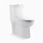 Swiss Madison Sublime One Piece Elongated Toilet Dual Flush 0.8/1.28 GPF (Soft Closing Quick Release Seat Included)