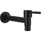 Rubinetto Giardino, Rubinetto Della Parete, Rubinetto Antigelo, Rubinetto Bagno, Acciaio Inossidabile Acqua Risparmiata Rubinetto per Bagno, Lavabo, Balcone, Cucina (Nero)